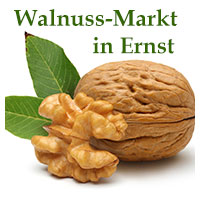 Walnussmarkt in Ernst