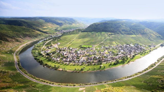 Cochem Weekend Guide
Veranstaltungen & Geheimtipps fürs Wochenende

BREVA Wein & Weg – Genusswanderung durch die Steillagen der Mosel

Winzer der Orte Bruttig-Fankel, Ernst und Valwig riefen das Projekt "BREVA Wein und Weg" ins Leben. Es beinhaltet die Verbindung zwischen zwei moseltypischen Produkten: Wein und Steillagenlandschaft.

Der BREVA-Weg führt durch eine der besten Weinbergslagen (Valwiger Herrenberg) der Mosel. In halber Hanghöhe wandern Sie vorbei an schroffen Felsen, Weinbergen, Fauna und Flora. Der Weg bietet herrliche Ausblicke in eine der imposantesten Landschaftsformationen des Moseltals.

Der BREVA-Wein ist ein gemeinschaftlich ausgebauter Premiumwein. Die Riesling-Trauben wurden von Winzern nach höchsten Qualitätsansprüchenselektioniert. Der Wein wird in der Geschmacksrichtung "trocken" ausgebaut und kann in der Region bei Winzern, in der Gastronomie und bei Ihrem gastgeber gekauft werden. Mit dem Kauf einer Flasche unterstützt der Konsument das Projekt und das Kulturland.

Sehenswert:

Erleben des Steillagenweinbaus
Panoramablicke auf die Moselschleifen und die Höhen von Eifel und Hunsrück
Profil der Erdschichtung in den Steillagenweinbergen
Wärmeliebende seltene Pflanzen und Tiere
Streckenbeschaffenheit:
Schmale Wege führen in halber Hanghöhe vorbei an schroffen Felspartien, durch verwinkelte Weinberge und über ein unvermutetes Waldbodenplateau.

Streckeninformation
Wanderstrecke: 3,1 km
Höhenmeter: bis ca. 330 m
Wanderzeit: ca. 2 Std.

Weitere Infos unter:https://www.brevaweinundweg.de/der-weg.html

#BREVAWeinUndWeg #MoselErleben #ValwigerHerrenberg #MoselRiesling #SteillagenLiebe #WandernUndGenießen #MoselAbenteuer #BREVAProjekt #WeinWandern #MoselWeekend #NaturUndWein #RieslingLiebe #Moselwein